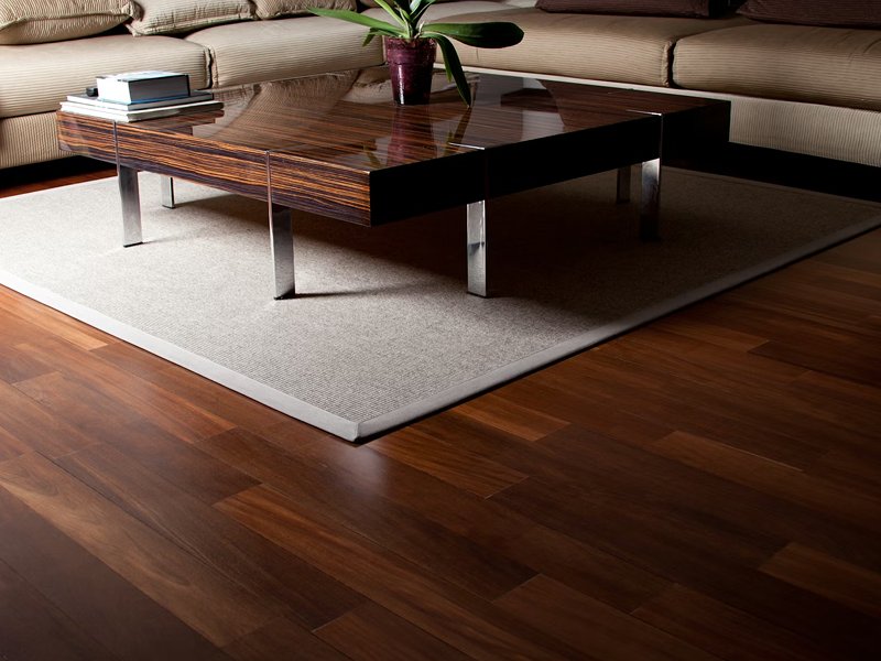 Dog sleeping on laminate floor