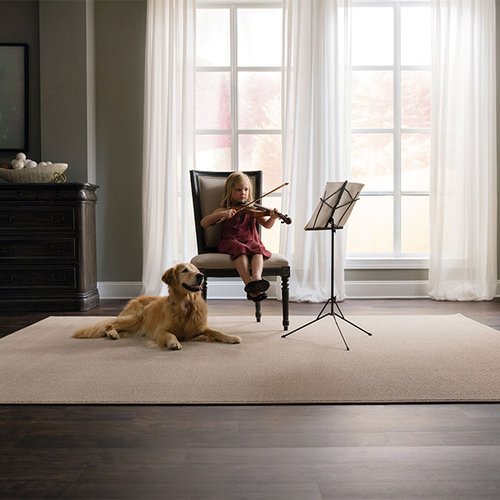 The Cedar City, UT & Saint George, UT area’s best area rug store is Pioneer Floor Coverings & Design