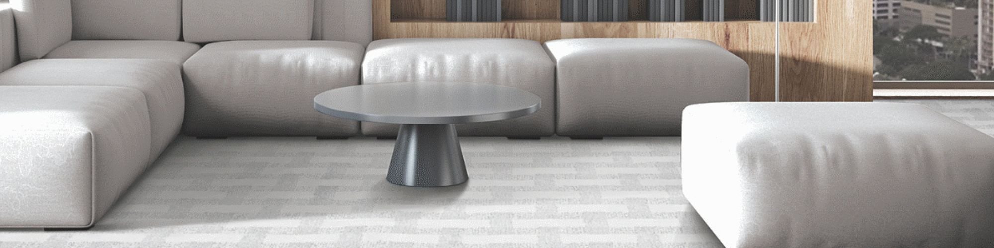 Modern carpeted living room