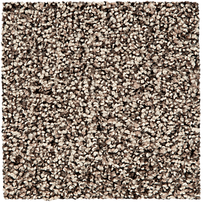 SmartStrand Carpet color Natural with ColorMax